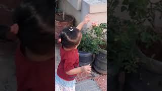 How To Playing with Flower Touch In The Garden