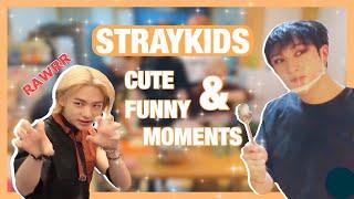 STRAY KIDS CUTE & FUNNY MOMENTS [ENG SUB] 2020
