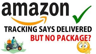 Amazon tracking says delivered but no package - Watch this!