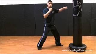 Krav Maga - Straight Punch with Retreat Step (Timing)