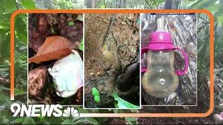Children found alive in Amazon rainforest
