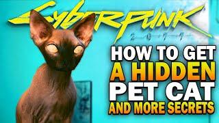 How To Get A Secret PET CAT & More Secrets In Cyberpunk 2077