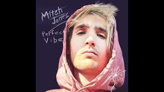 Mitch Jones - Perfect Vibe ft. Kala (Official Music Video)