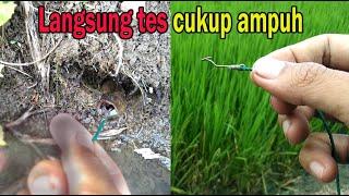 Beginilah Model Kail Belut Andalan Ala Supangkat TOP | Langsung Tes Mancing Belut Besar