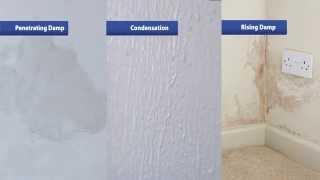 How to Find and Fix Your Damp Problems