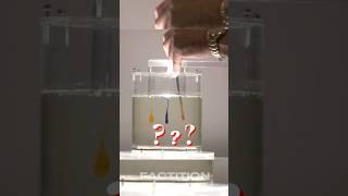 Another type of Laminar flow/#science #facts #factition