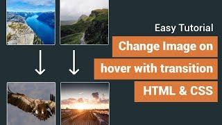 Change background image on hover with css transition effects | CSS Hover Effect
