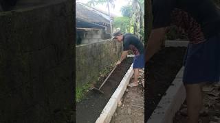 Bikin Raised Bed buat tanam Empon2 & bumbu dapur Kebun Samping Rumah  #youtubeshorts #berkebun