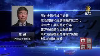 整肅太子黨？ 中共再掀金融反腐風暴