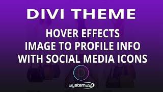 Divi Theme Hover Effects Image To Profile Info With Social Media Icons 