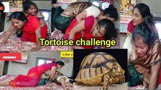 funny tortoise fight challenge video with friend