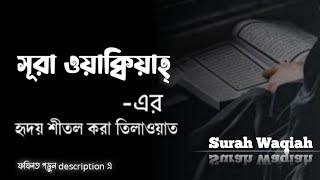 সূরা ওয়াক্বিয়া এর হৃদয় শীতল করা তিলাওয়াত। (বাংলা অনুবাদসহ) | Surah Waqiah | জীবন রাঙাই আল্লাহর রঙে |