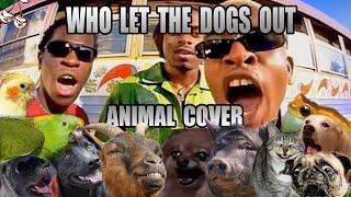 Baha Men - Who Let The Dogs Out? (Animal Cover)