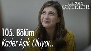 Kader aşık oluyor.. - Kırgın Çiçekler 105. Bölüm