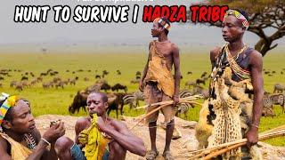 Cultural Culinary Adventures | The Hadzabe’s Porcupine Cooking Rituals | A Wild Taste  Compilation