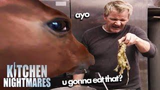 ayo | Full Episode | Kitchen Nightmares