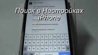 Поиск в настройках iPhone