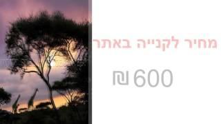 תמונת טפט תלת מימד חיות בשקיעה