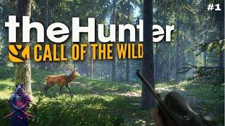 The Hunter: Call of the Wild Beginner's Hunt #1 [LTU]