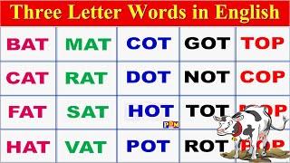 Three Letter Words Pronunciation Practice in English | 3 Letter Word Reading Practice,