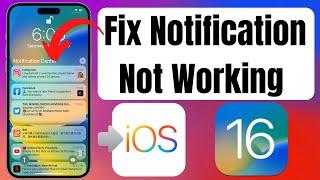 How to Fix Notifications Not Working in iOS 16 on iPhone & iPad After Update