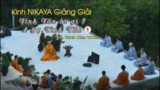 Kinh NIKAYA Giảng Giải – Tinh Tấn Là Gì ? 4 Sự Tinh Tấn – Kinh Chế Ngự Tăng Chi Bộ