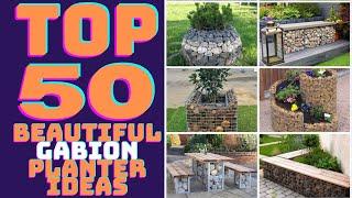 Top 50 Best Gabion Planter Ideas