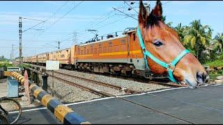 Viral Dangerous Mad HORSE Headed Intercity Express Deadly Attack At Railgate