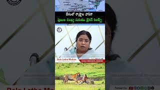 #tiger #reserve #madhavnationalpark#india #news #telugu #newsupdate #telegram #balalathamallavarapu