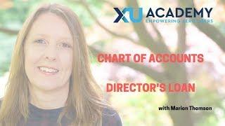 Using the Director's Loan Account in Xero