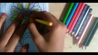 FLOWERS COLOURING IN COLOUR BOOK FOR KIDS || J Dee Creativity