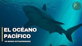 EL OCÉANO PACÍFICO | Un Mundo de Gigantes - Mini Documental