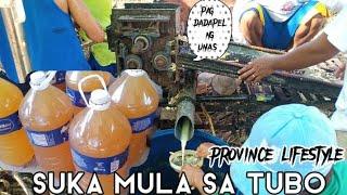 SUKA MULA SA TUBO ( UNAS ) probinsya lifestyle