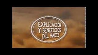 EXPLICACIÓN Y BENEFICIOS DEL HADIZ 6, LA IMPORTANCIA DE LA HUMILDAD CON TODO EL MUNDO