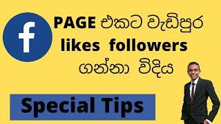 How to get more followers and likes to Facebook page |වැඩිපුර likes  followers  ගමු sinhala