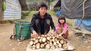 The homeless boy and the orphan girl picked bamboo shoots to sell and the ending