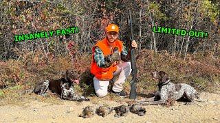 15 Minute LIMIT While GROUSE HUNTING!!!