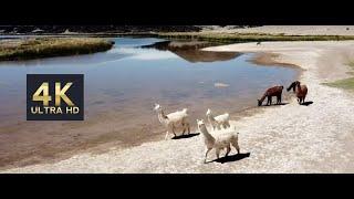 The Beauty of Northern Argentina - La Belleza del Norte Argentino (4K Drone Footage)