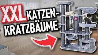 Die besten XXL KRATZBÄUME 2025 Vergleich | Top 3 Katzen Kratzbäume XXL