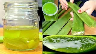 Here is Why Egyptian queens Cleopatra & Nefertiti used Aloe vera as part of their beauty regimes