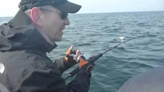 Vidar into a 14lb pollack on Grey Viking 2