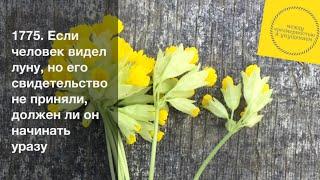 Если человек видел луну, но его свидетельство не приняли, должен ли он начинать уразу