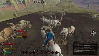 Life is Feudal "PVP"