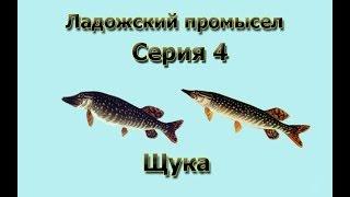 Русская Рыбалка 3.99 (Russian Fishing) Ладожский промысел 4 - Щука