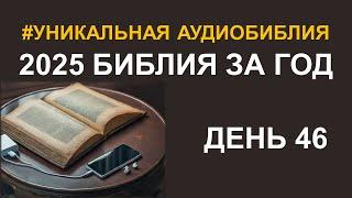 День 46.  Библия за год.  Библейский ультрамарафон портала «Иисус»