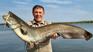 Catfish recipe on a fire. Fish soup. Pike perch in a pan. volloha kitchen