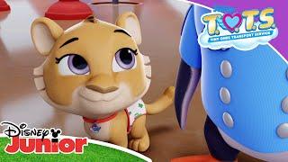  The First Roar | T.O.T.S. | Disney Kids