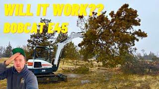 WILL OUR REPAIRED AUCTION SPECIAL BOBCAT REMOVE LARGE TREES?? Did not go to plan!!!??!