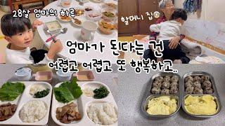 [vlog] 알바 관둔 엄마의 하루, 할머니 집, 원주 맛집, 집밥 로그