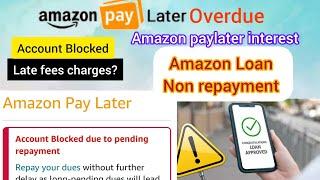 Amazon pay later loan overdue charges | Amazon PayLater late fees